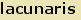 tintakiado idegen sztr