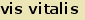 tintakiado idegen sztr
