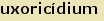 tintakiado idegen sztr
