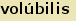tintakiado idegen sztr