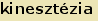 tintakiado idegen sztr