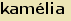 tintakiado idegen sztr