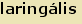 tintakiado idegen sztr