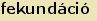 tintakiado idegen sztr