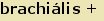 tintakiado idegen sztr