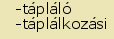 tintakiado idegen sztr