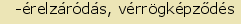 tintakiado idegen sztr