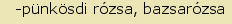 tintakiado idegen sztr