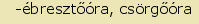 tintakiado idegen szótár