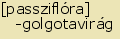 tintakiado idegen sztr