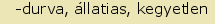 tintakiado idegen sztr