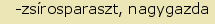 tintakiado idegen sztr