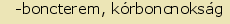 tintakiado idegen sztr