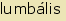 tintakiado idegen sztr