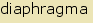 tintakiado idegen sztr