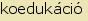 tintakiado idegen sztr