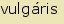 tintakiado idegen sztr